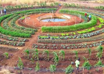 Horta mandala é uma estrutura de produção que se expande em círculos.