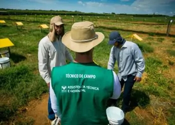 Iniciativa vai selecionar estudantes no último semestre de curso e profissionais já formados.