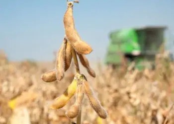 Palestras traz novidades sobre inoculantes e o uso de controle biológicos.