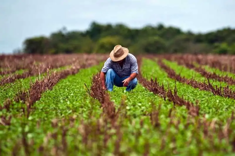 Produtor rural 