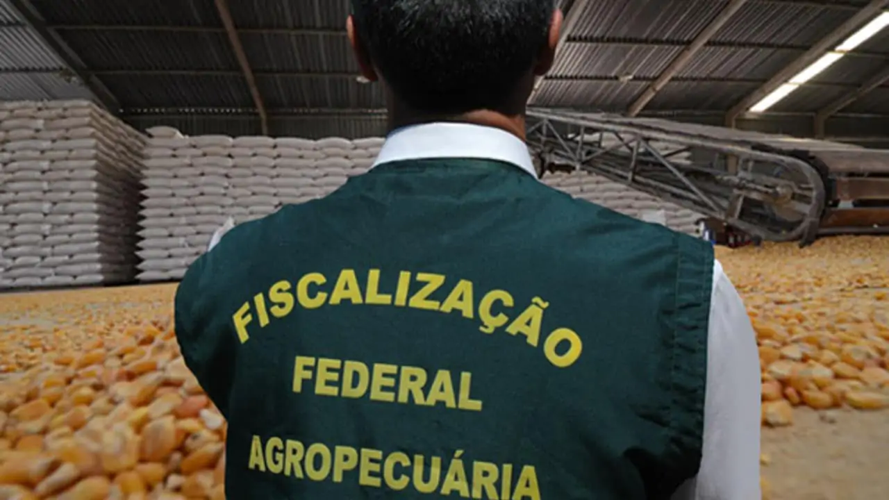 Concurso do Mapa vai ofertar até 520 vagas para servidores 3 Vagas são para cargos de níveis médio, técnico e superior com salários de mais de R$ 22 mil.