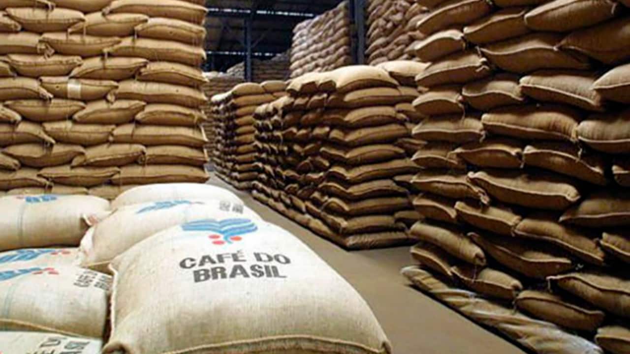 Brasil exportou 22,9 milhões de sacas de 60 kg, de janeiro a agosto de 2023. 