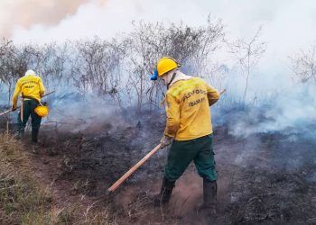 Bombeiros combatem Incêndio na Ilha do Bananal