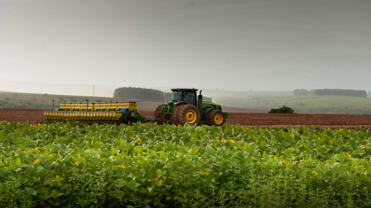 Jataí e Cristalina também estão entre os 15 maiores produtores de soja do país. 