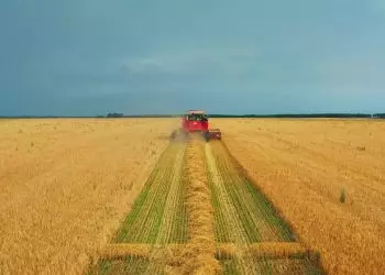PIB da Agropecuária é a soma de bens e serviços produzidos dentro da porteira.