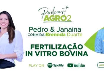 Podcast com Brennda Duarte