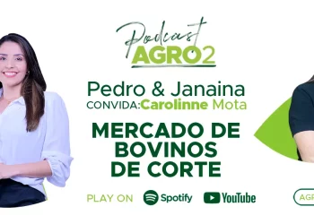 Podcast com Carolinne Mota