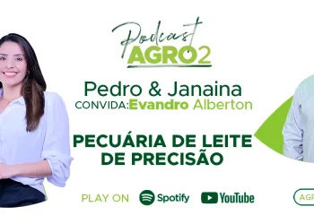 Podcast com Evandro Alberton 1