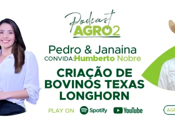 Podcast com Humberto Nobre