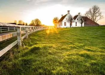 Prazo para declaração do ITR termina nesta sexta (29); veja como fazer