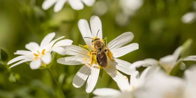Primavera começa dia 23 de setembro com possibilidade de eventos climáticos severos 1 Primavera começa dia 23 de setembro com possibilidade de eventos climáticos severos