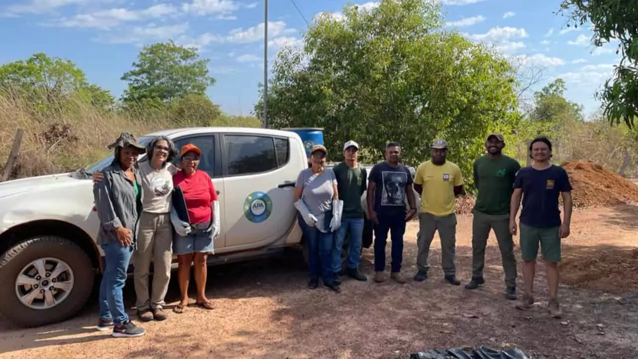 coleta de jatobá na ilha do Bananal