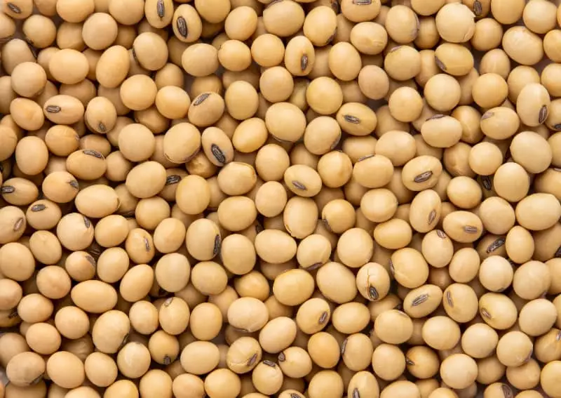Farelo de soja