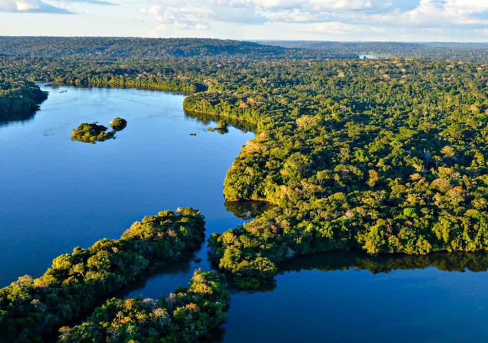 Maravilhas naturais: saiba quais são as 10 maiores florestas do mundo 3 Floresta Amazônica
