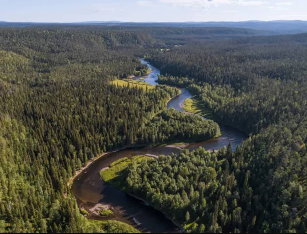 Maravilhas naturais: saiba quais são as 10 maiores florestas do mundo 2 Floresta Taiga