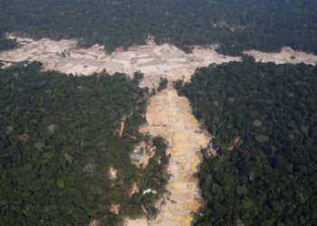 Área usada pelo garimpo ilegal na Amazônia aumenta em 35 mil hectares