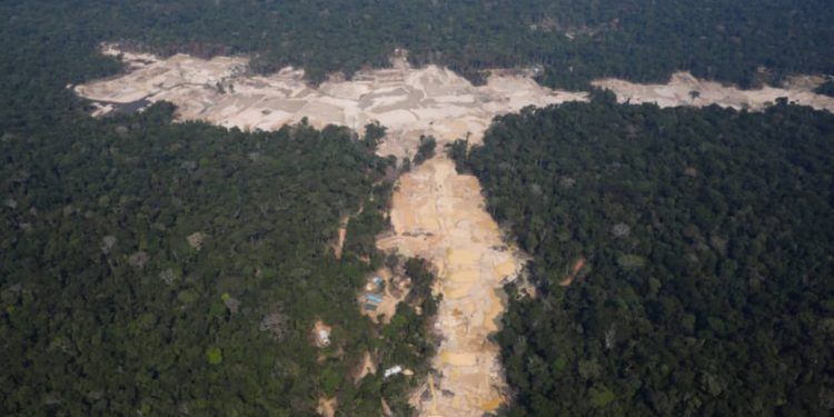Área usada pelo garimpo ilegal na Amazônia aumenta em 35 mil hectares