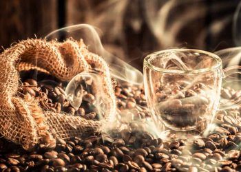 Produtividade e clima favorável do arábica impulsionam produção de café.