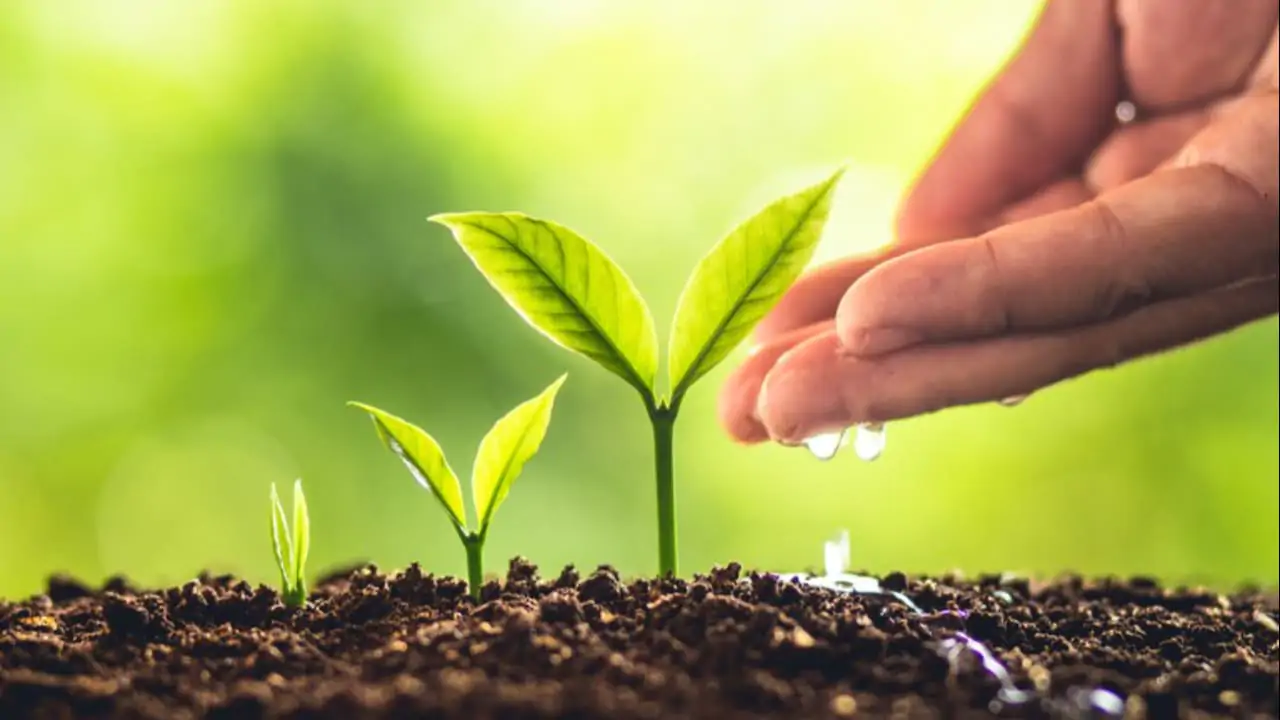 Produtos tem aprovação dos órgãos de meio ambiente, saúde e agricultura. 