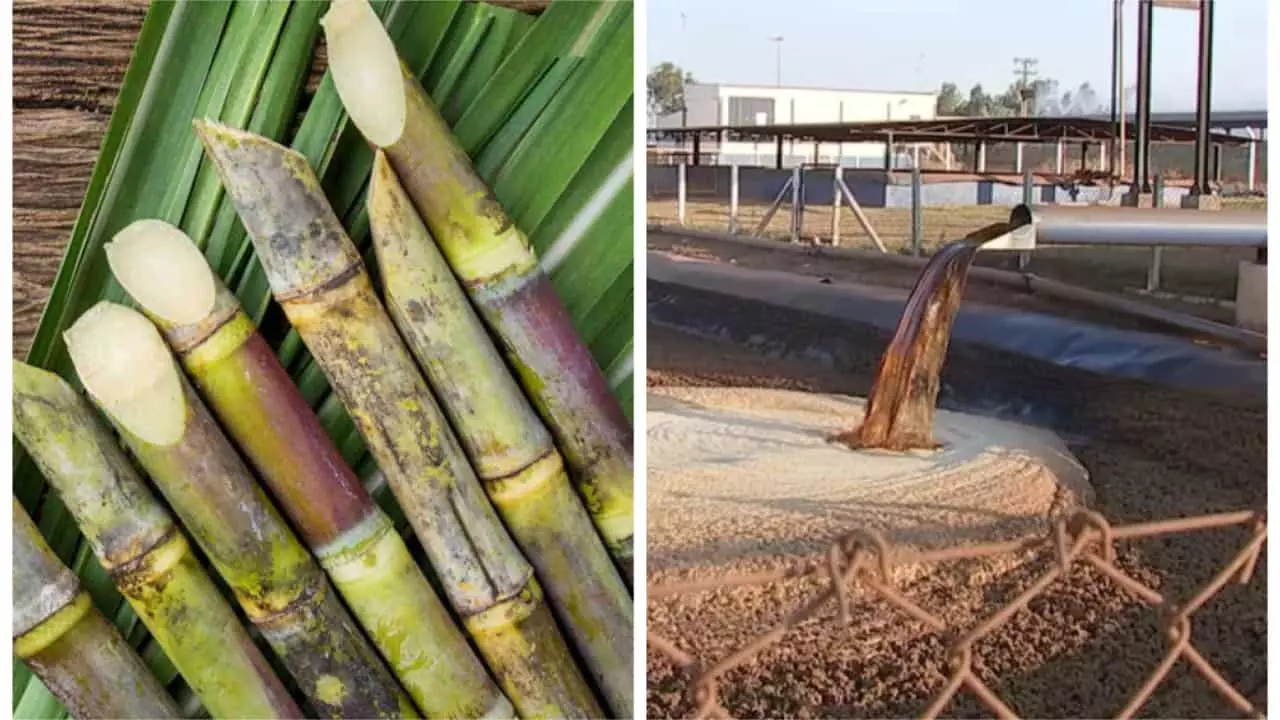 Vinhaça é o resíduo que sobra após a destilação do caldo de cana-de-açúcar. 