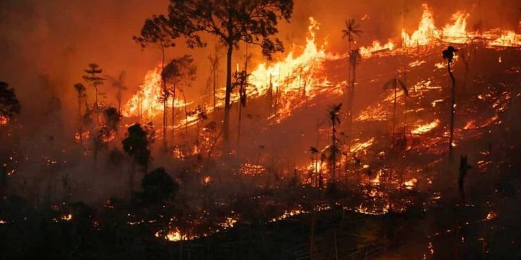 Amazonas registra segundo pior setembro com 7 mil focos de queimadas desde 1998