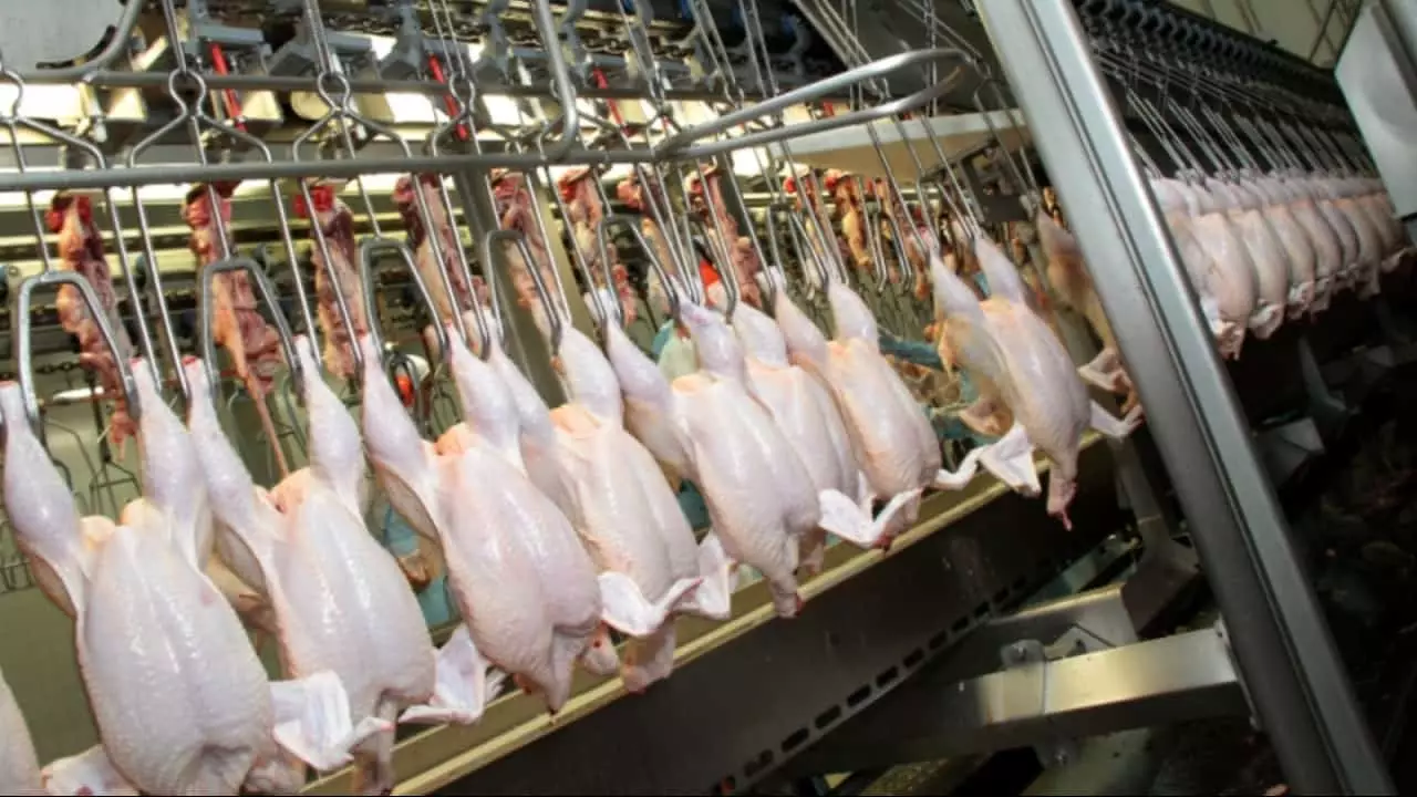 Brasil abriu 53 novos mercados para os produtos do agro. 