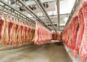 Brasil embarcou mais de 920 mil toneladas de carne suína no ano.
