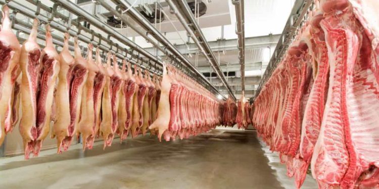Brasil embarcou mais de 920 mil toneladas de carne suína no ano.