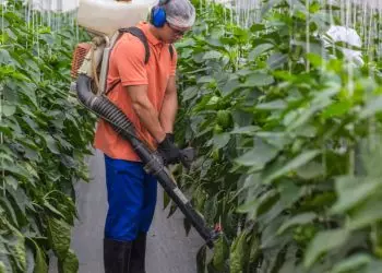 Brasil pretende ampliar comércio de fertilizantes com países árabes