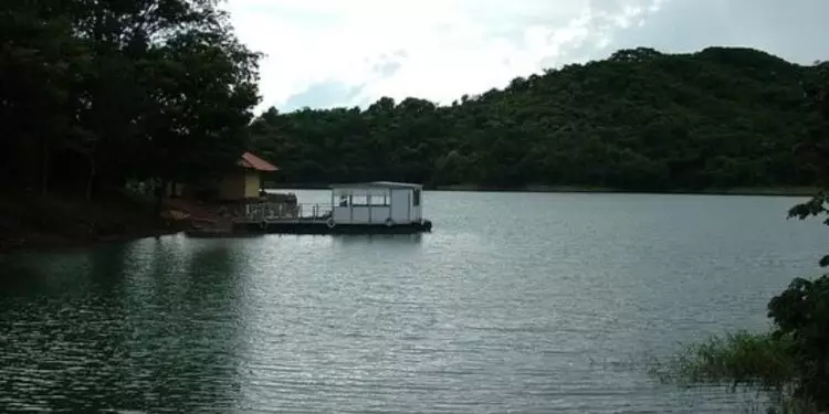 Conselho do Meio Ambiente define uso e conservação da Mata Atlântica em Goiás 1 Conselho do Meio Ambiente define uso e conservação da Mata Atlântica em Goiás