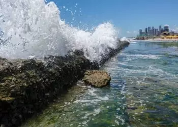 Corais podem evitar danos de R$ 160 bilhões em danos ao litoral Nordeste; diz pesquisa