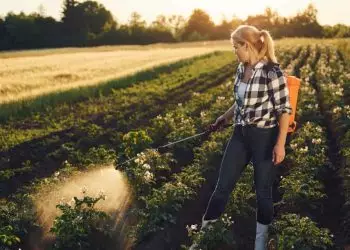 Desenrola Brasil pode ser ampliado e renegociará dívidas de agricultores familiares