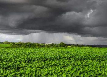 Embrapa orienta estratégias para reduzir ou mitigar os impactos negativos do El Niño.