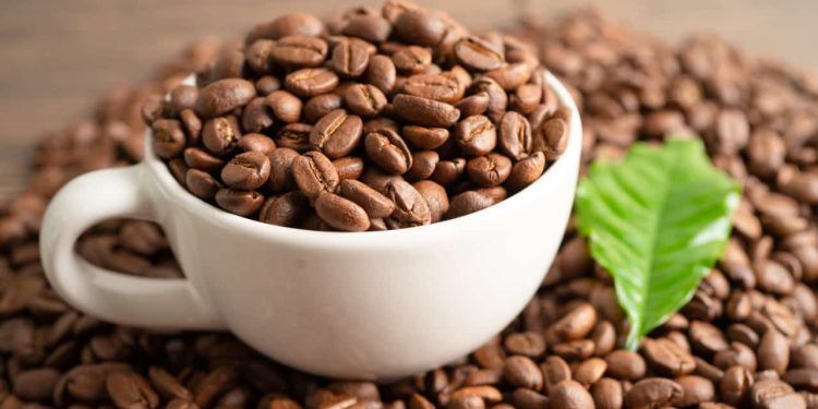 Exportação de café no Brasil atinge 3,2 milhões de sacas em setembro; veja destinos