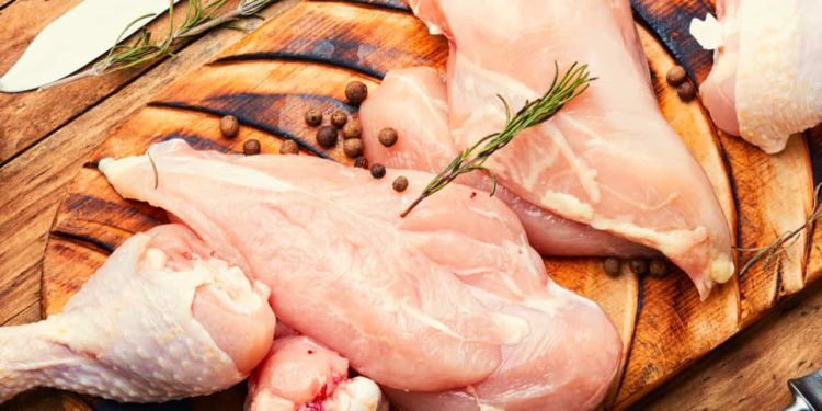 Exportações de carne de frango têm alta de 6,5% em 2023