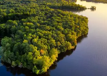 Governo cria grupo de trabalho para ampliação da defesa na Amazônia Legal