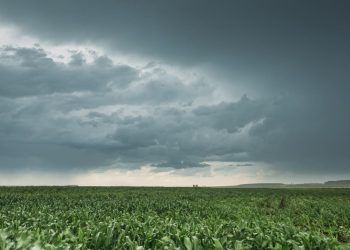 Inmet prevê chuvas significativas para as três regiões do Brasil.