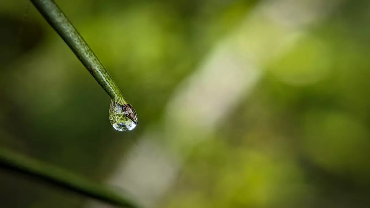 Norte e Nordeste terá menores acumulados de chuva.