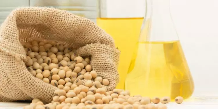 PIB da soja e do biodiesel deve crescer mais de 20% em 2023 1 PIB do biodiesel deve representar 5,8% do total do PIB do agronegócio.