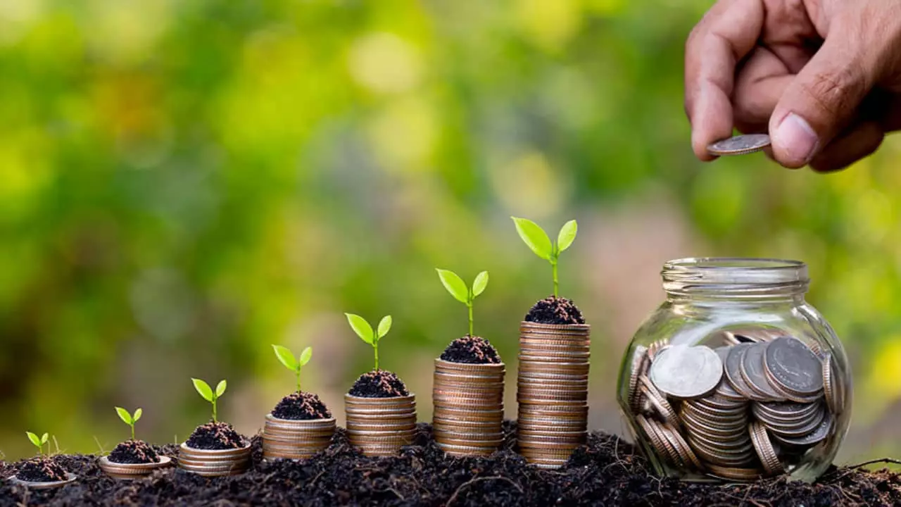 Plano Safra 2023/24 não trouxe previsão de recursos para o seguro rural.