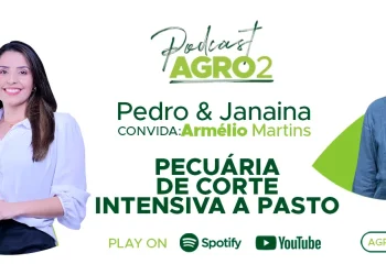 Podcast com Armelio Martins