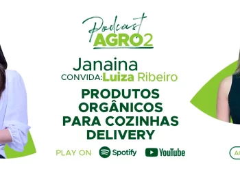 Podcast com Luiza Ribeiro 1