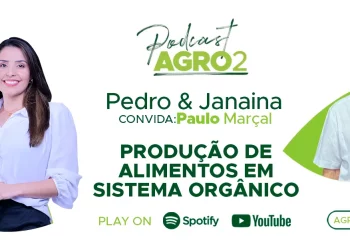 Podcast com Paulo Marcal