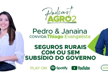 Podcast com Thiago Evangelista