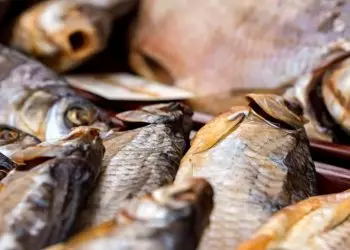 Prazo para declaração de estoque pesqueiro encerra nesta quarta-feira (4)