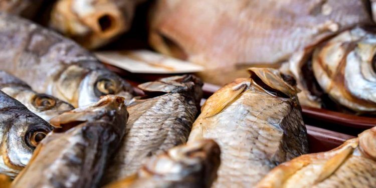 Prazo para declaração de estoque pesqueiro encerra nesta quarta-feira (4)