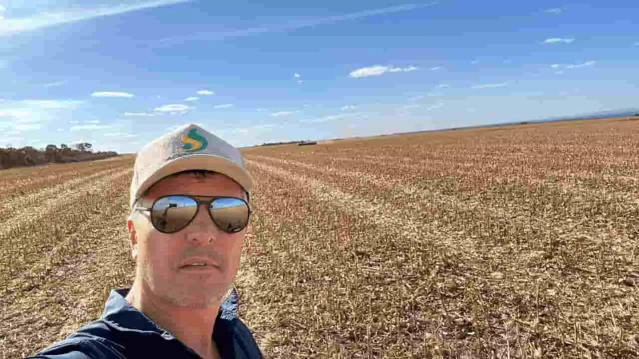 Com fim do vazio sanitário, plantio de soja segue até janeiro no Tocantins 3 Produtores estão liberados para o plantio de soja no Tocantins