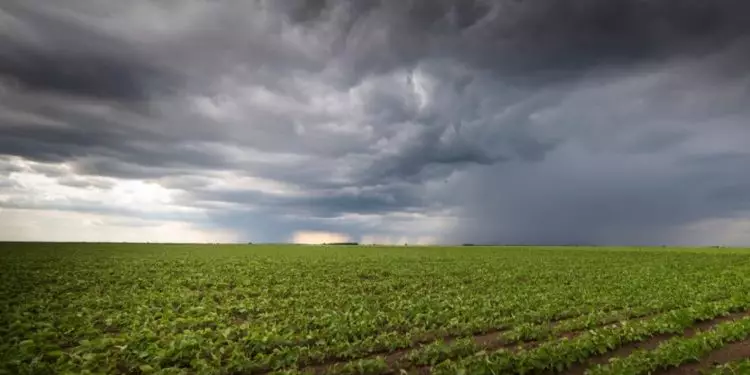 Altos volumes de chuva no Sul do Brasil impacta lavouras de grãos 1 Altos volumes de chuva no Sul do Brasil.