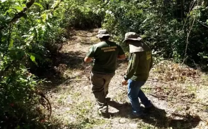 Analista ambiental 