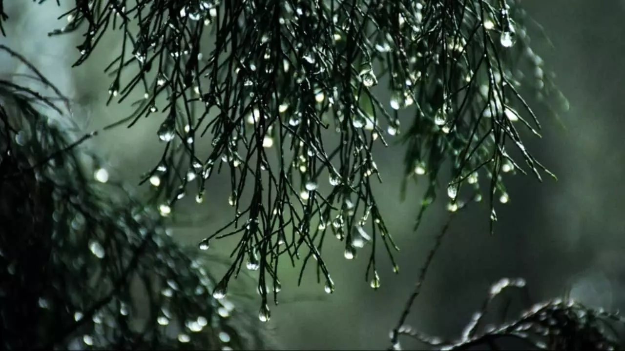 Chuvas vão de moderadas a fortes pelo país. 